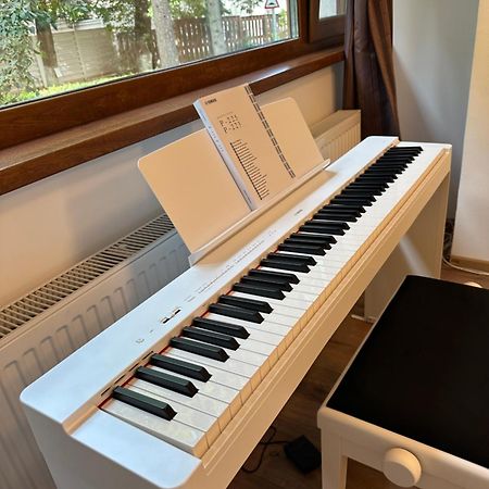 Peles Green Apartment & Piano Kolozsvár Kültér fotó