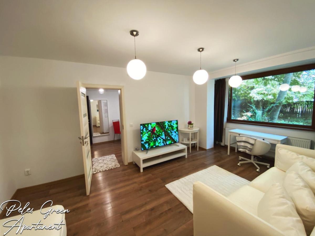 Peles Green Apartment & Piano Kolozsvár Kültér fotó