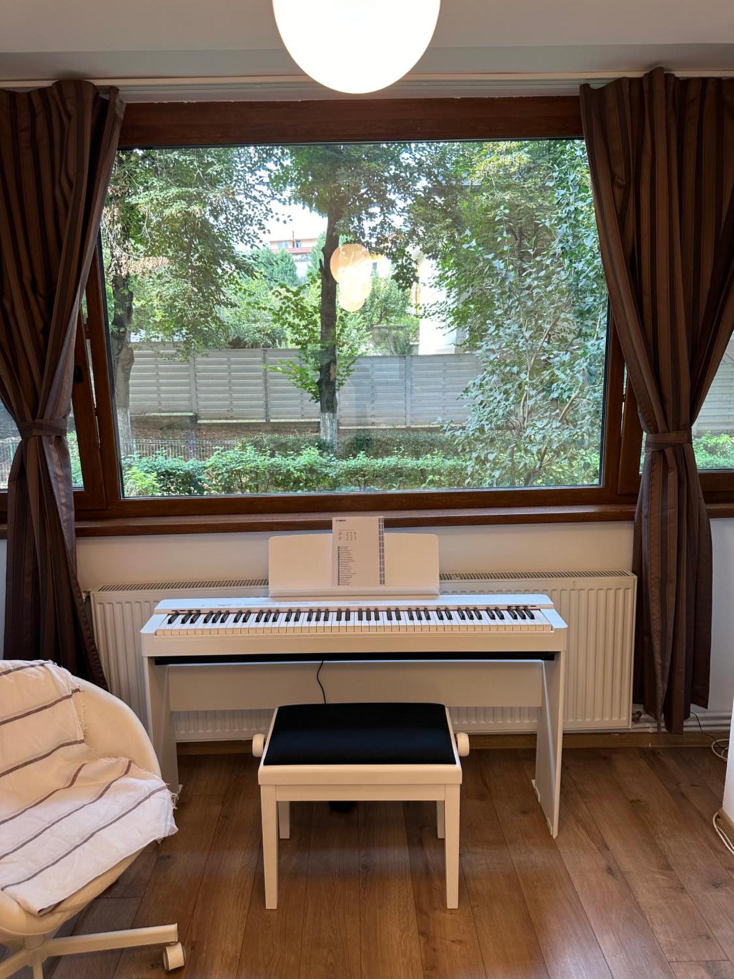 Peles Green Apartment & Piano Kolozsvár Kültér fotó